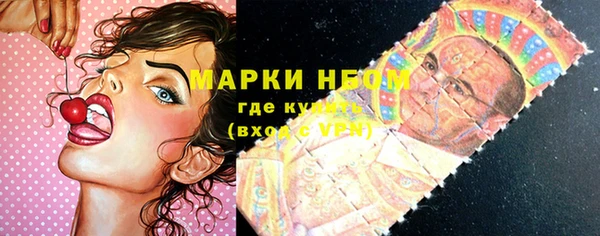 прущие грибы Алексин