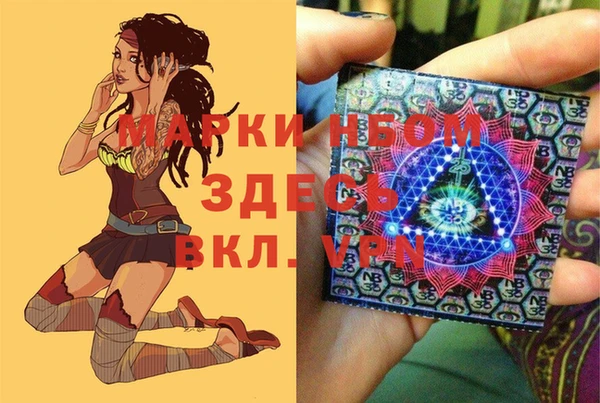 прущие грибы Алексин